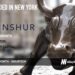 INSHUR Raises $35M to Scale Embedded Insurance Platform for Gig Economy Drivers