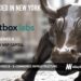 NetBox Labs Raises $35M to Eliminate Manual Network Operations and Accelerate Infrastructure Automation