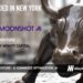 Moonshot AI Raises $10M to Scale AI-Powered Conversion Optimization For E-Commerce Merchants