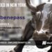 Benepass Raises $40M to Help Employers Control Surging Healthcare Costs Through Consolidated Benefits Platform