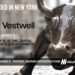 Vestwell Raises $385M to Power Modern Savings Infrastructure Across America