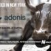 Adonis Raises $40M as Health Systems Combat Rising Denial Rates with AI Orchestration