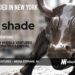 Shade Raises $14M as Creative Teams Replace Fragmented Workflows with One Unified File System