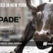 Spade Raises $40M to Turn Messy Transaction Data into a Strategic Asset for Banks and Fintechs