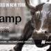Zamp Raises $30M to Scale AI-Driven Sales Tax Compliance Across 12,000+ Jurisdictions